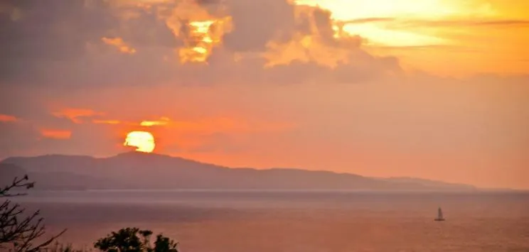 Mynt Retreat Bed & Breakfast Montego Bay