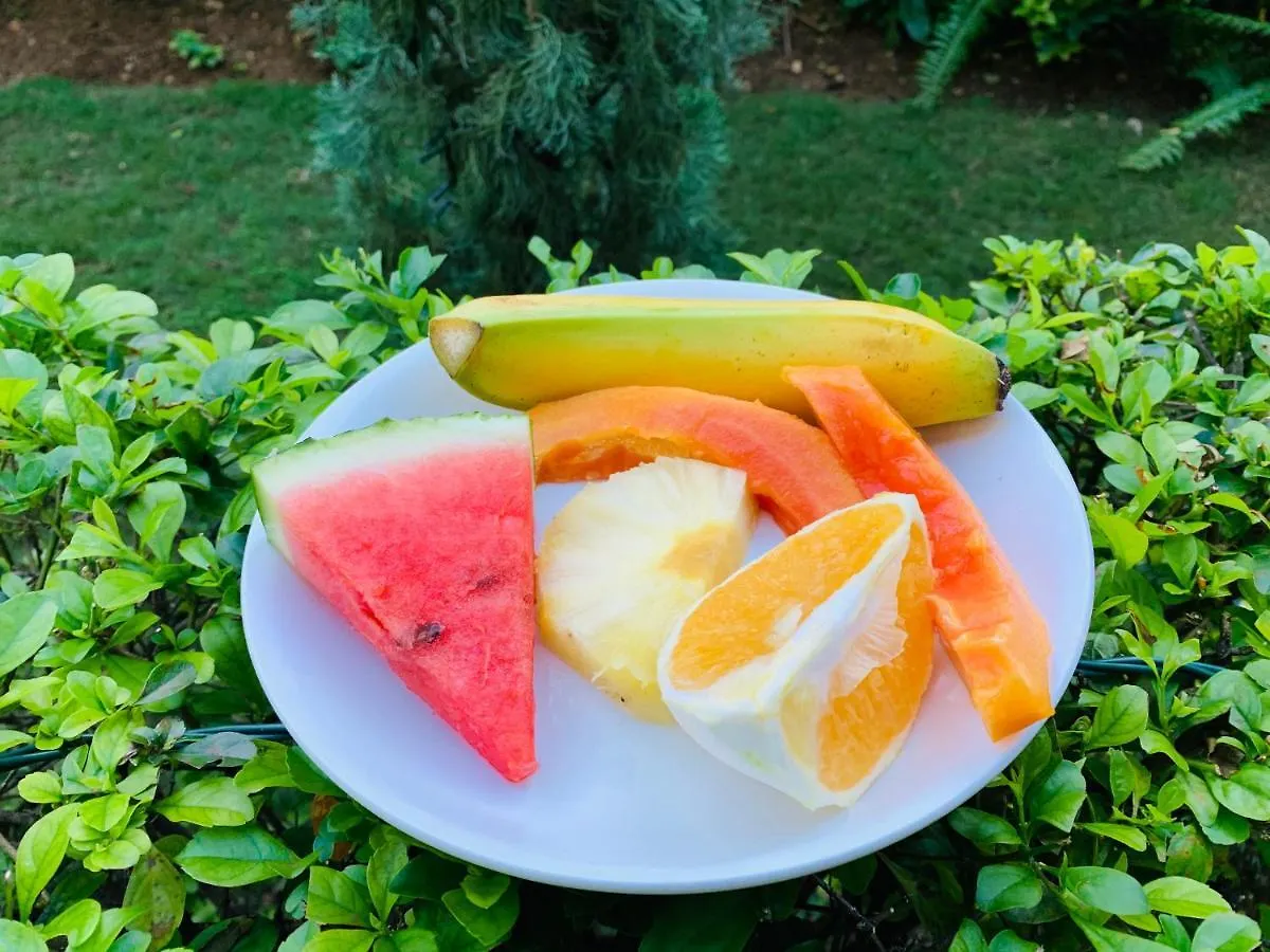 מונטגו ביי Mynt Retreat Bed & Breakfast